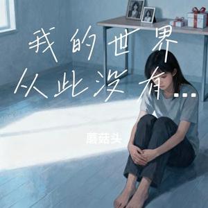我的世界从此没有了你