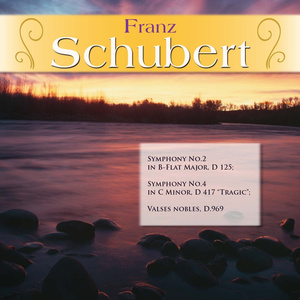 Symphony No.2 in B-Flat Major, D 125: I. Largo-Allegro vivace