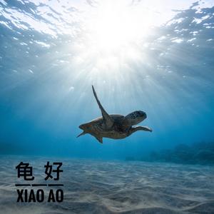 龟好