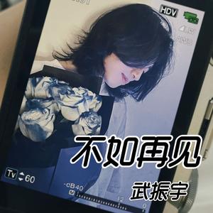 不如再见