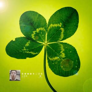 祝张小鹿前程似锦