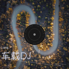 一对旧皮鞋 (DJ阿瑞 remix) (Remix)