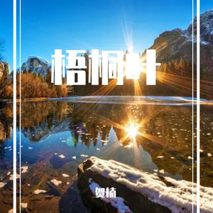 唯美8（纯音乐）