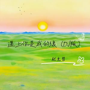 遇上你是我的缘 (DJ车载版)