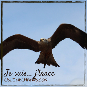 Je suis... j'trace