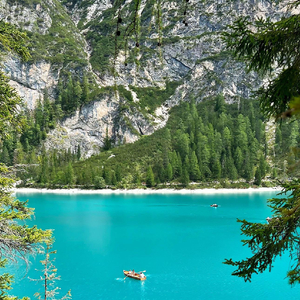 平凡时光也发光