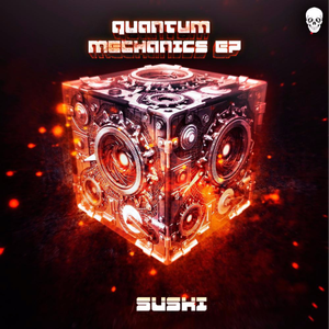QUANTUM MECHANICS (QUANTUM LAZER VIP)