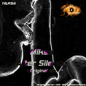 After Silence (Original Mix)