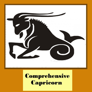 Chapter 29 Capricorn-Sagittarius Compatibility Assessment