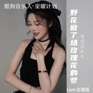 野花做了场玫瑰花的梦 (Live合唱版)