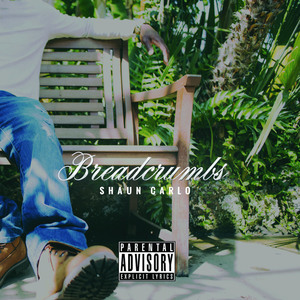 Like It Is (feat. Tish)