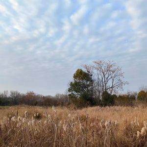 《夜读辛稼轩破阵子》