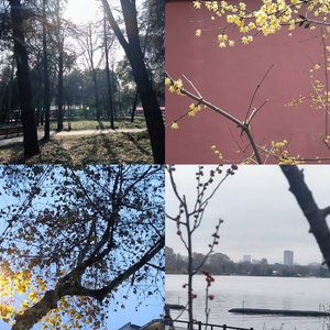 音频提取_210443_track1.wav（翻自 于栀）