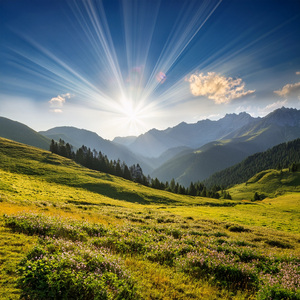 Bajo El Abrazo De La Luz De La Luna