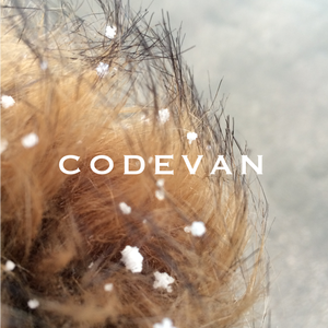 Miles Away (Codevan Remix)