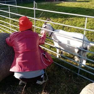 Angenämt (Trevligt)