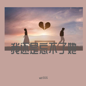 我还是忘不了她