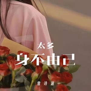 太多身不由己 (伴奏)