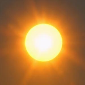 Sunlight Dance