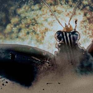 Твоя Любовь