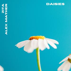 DAISIES