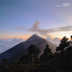 Vespertine Vibrations