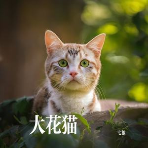 大花猫