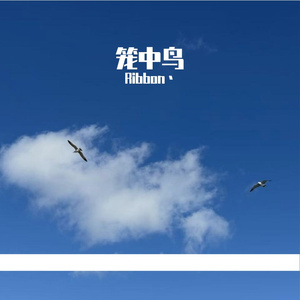 笼中鸟（Prod.by MORROW）