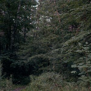 огни упадут