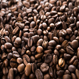 超特急くだり腹少女