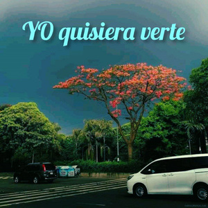 Yo Quisiera Verte
