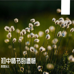 《初中情书的遗憾》