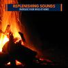 Blinking Fire Sound World - Beside the River Campfire