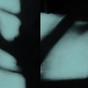 Frequency Is Perfume (feat. Anjelica Lindsey) (The New Honey Shade Remix)