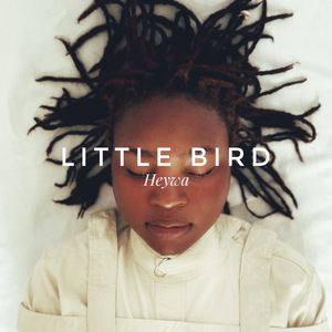 Little Bird