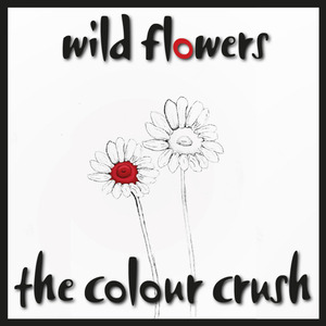Wild Flowers