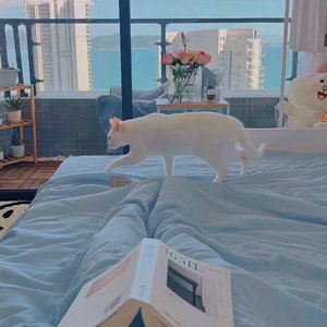 他只是经过