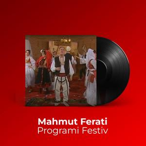 Programi Festiv