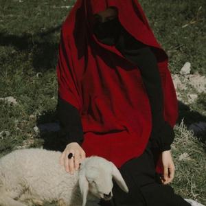 WWJ (wishywashyjoshy) (feat. Sorrow Bringer)