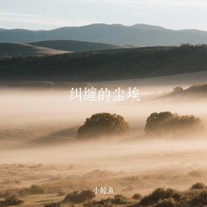 纠缠的尘埃