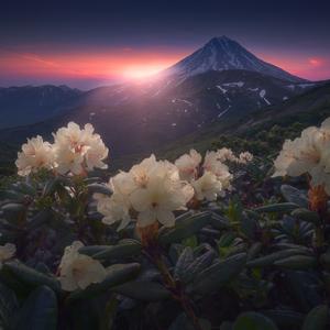 耙耙爱情故事2024