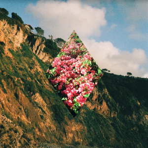 The Actualized (Is in the Eye of the Actualizer)