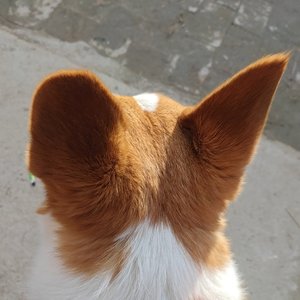 这份爱是我搭错的车