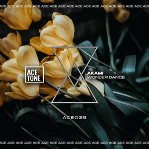 Wonder Dance (Original Mix)