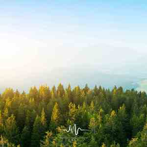 雨碎相思 (正念冥想瑜伽古筝曲)