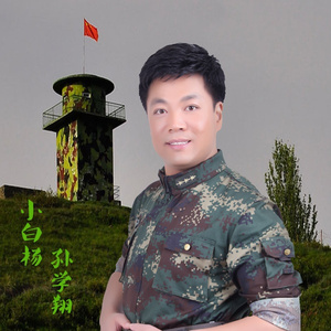 小白杨