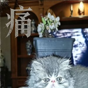 痛part2