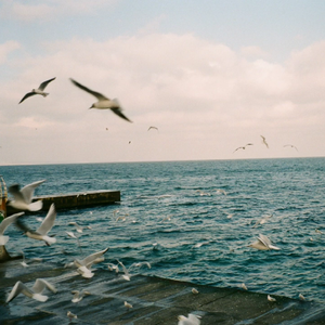 [Free]"旅途"-Sad Acoustic Guitar Type Beat