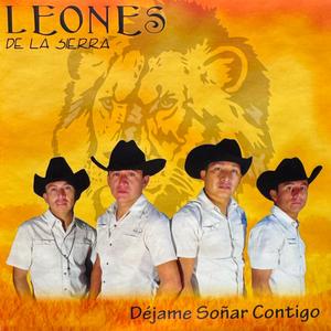 Si te vuelves a enamorar