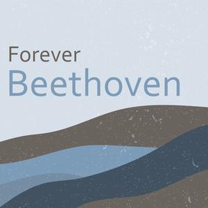 Beethoven: Speaking Unto Nations (Beethoven Symphony no 7 - II )